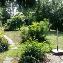 Garten Eden, Auenstein — photo 4