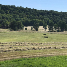 Gîte 6 pers de la Vallée de l'Aujon, 阿尔克-昂-巴鲁瓦 — 照片 4