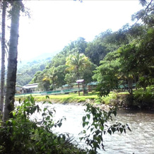 Tandarason Resort & Country Club, Kampung Kituntul — photo 4