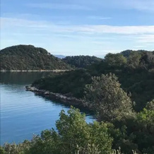 Apartmani Dabelic Durica Mljet, 姆列特岛 — 照片 4