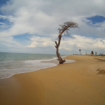 Kite Paradise Resort-Kalpitiya, 坎达库利 — 照片 3