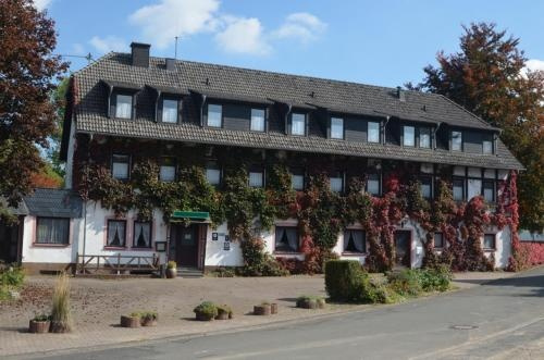 Niedereher Mühle, Иксхайм — фото 1