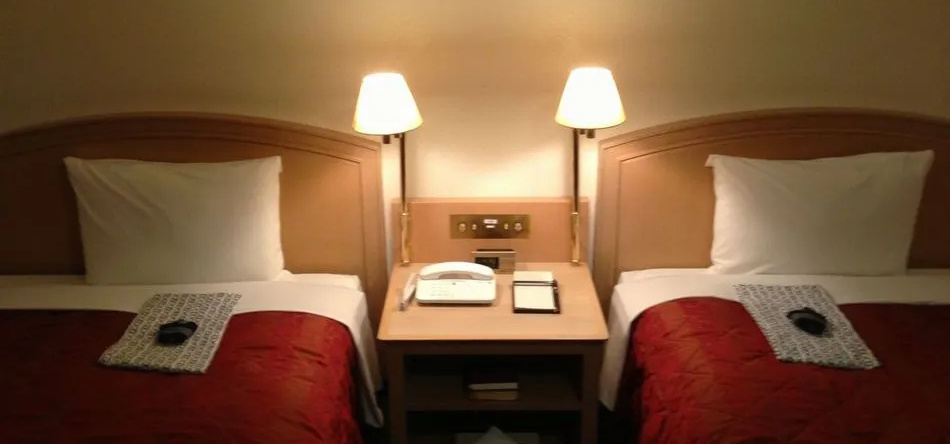 Hotel Flora Funabashi, 船桥 — 照片 1