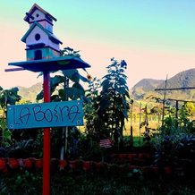 Hospedaje Rural La Boira, 雅尔丁 — 照片 4