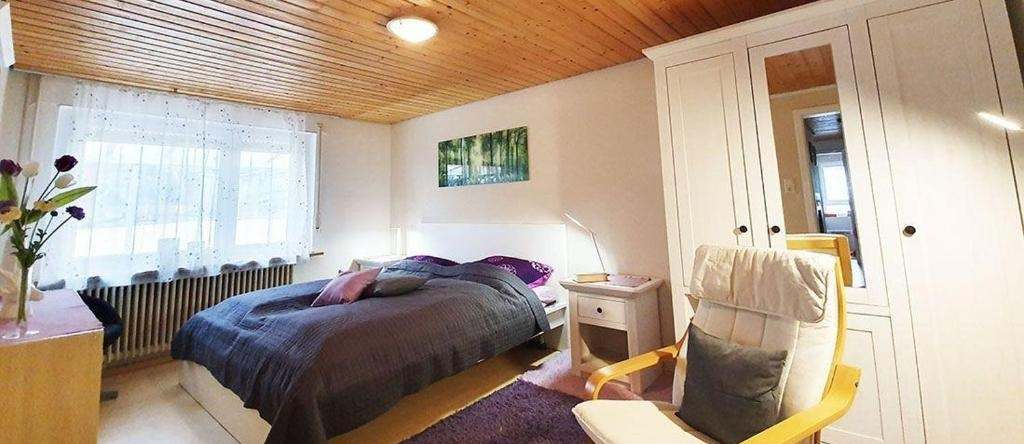 Gemuetliche-und-moderne-3-Zimmer-Ferienwohnung-mit-grosser-Terrasse-stadtnah, Au — photo 1