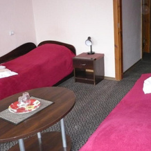 Dzukija Hotel, Alytus — photo 4