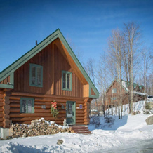 Tremblant Mountain Chalets, 上湖 — 照片 3