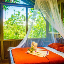 Finca Bellavista Treehouse Community, 戈尔菲托 — 照片 3