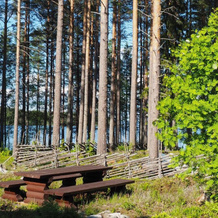Aalto Koli, 列克萨 — 照片 5