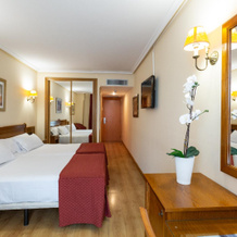 Hotel Ciudad Cangas De Onis, 坎加斯德奥尼斯 — 照片 4