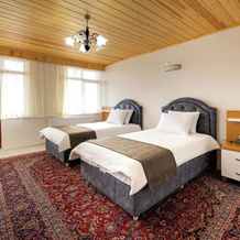 Avulot Mountain Resort Hotel, 叙尔梅内 — 照片 5