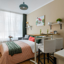Uyutnaya Studiya V Zelenogorske Sredi Sosen Apartments, 泽列诺戈尔斯克 — 照片 2