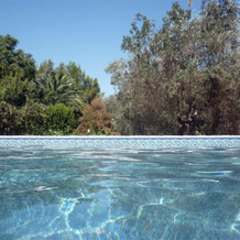 Villa Giuliana, 阿尔内萨诺 — 照片 4