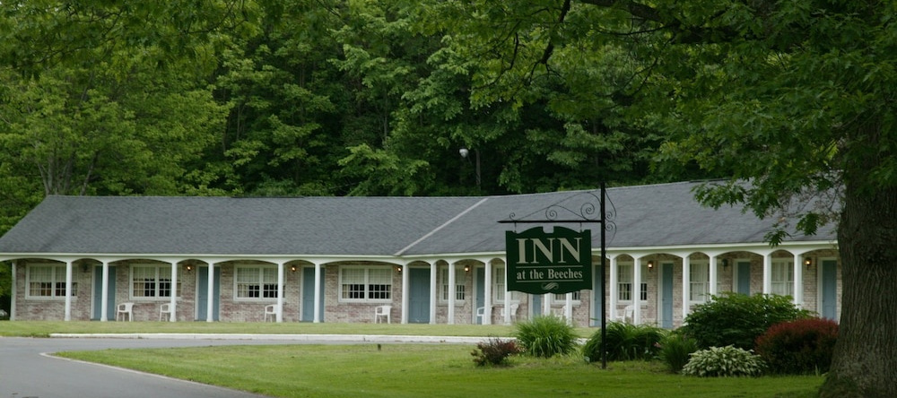 Inn At The Beeches, 罗马 — 照片 1