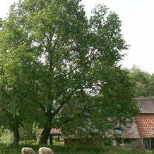 Kamer 7, Фредериксорд — фото 5