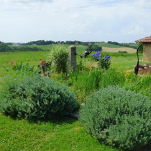Chambre d'hôtes insolite dans un pigeonnier à 5 minutes de Marciac Gers, 蒙勒赞 — 照片 2