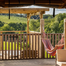 Luxury Safari Lodge Surrounded by Deer!! 'fallow', 齐尔-莫纳科鲁姆 — 照片 4