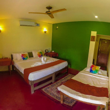 Tadoba Safari Stay Nature's Sprout, 巴姆德利 — 照片 4