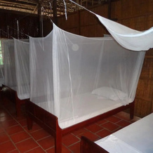 Phuong Thao Homestay, Long Ho — photo 2