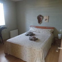 Villa With 6 Bedrooms in Reus, With Private Pool, Enclosed Garden and, 雷乌斯 — 照片 4