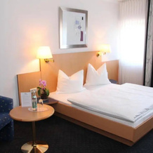 Landhotel Anderschitz, 法特施泰滕 — 照片 4