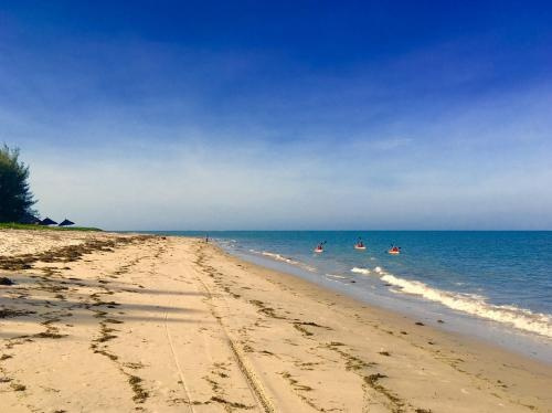 Emayani Beach Lodge, Пангани — фото 1