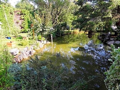 La mare aux canards, Montluel — photo 1
