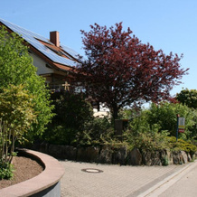 Ferienwohnung Pimer, Ranschbach — photo 2
