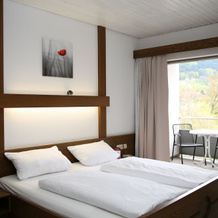 Hotel Pflug Ottenhöfen I. Schw., Оттенхёфен (Шварцвальд) — фото 3