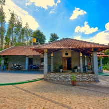 Elegance Homestay, 凯马拉 — 照片 3