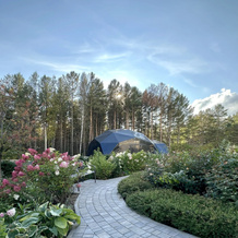 Sosnoviy Bor Hotel, 阿钦斯克 — 照片 4
