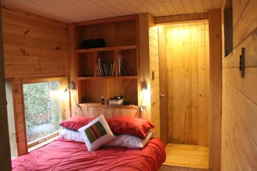 Casita Arbol, 富特罗诺 — 照片 1