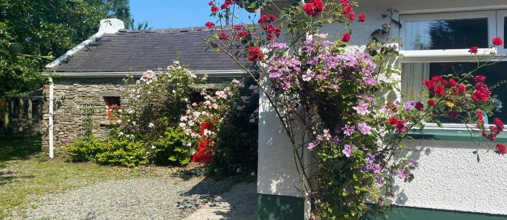 Hawthorn Cottage, 奥马 — 照片 1