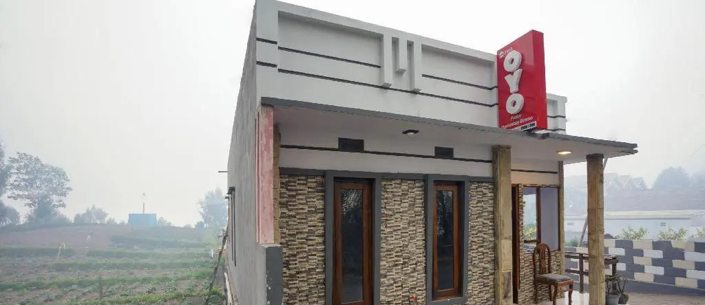 View Bromo, 恩加迪萨里 — 照片 1
