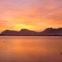Flamingo Lake, 普林格尔湾 — 照片 4