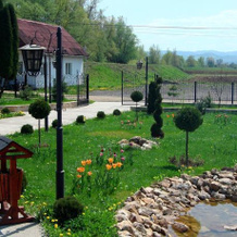 Pension La Taticu, Baia Mare — photo 5