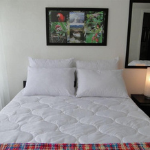 El Eden Casa de Huespedes, 马尼萨莱斯 — 照片 2