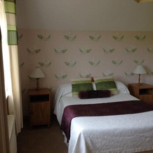 The Well Bed & Breakfast, Клонакильти — фото 5