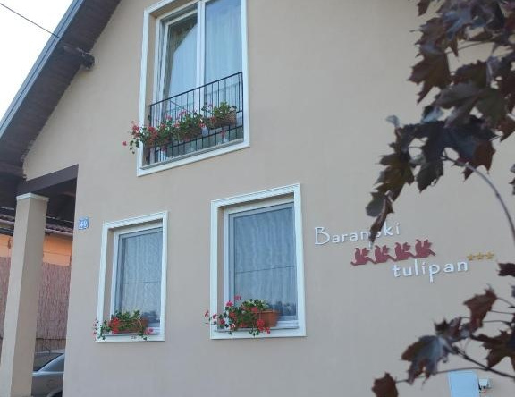 Country House Baranjski Tulipan, 比列 — 照片 1