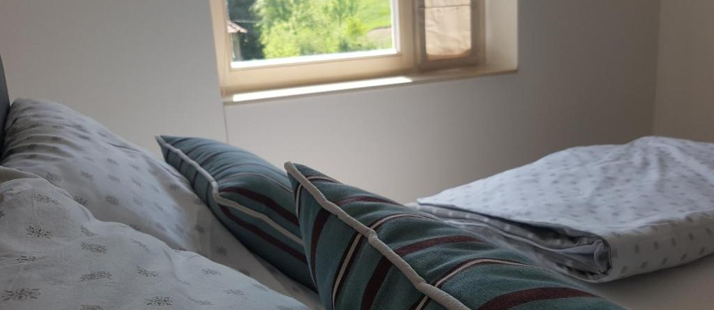 Vip 2 Apartments Sarajevo, Илиджа — фото 1