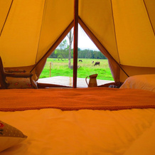 La Victoria Glamping, 加钱蒂瓦 — 照片 2
