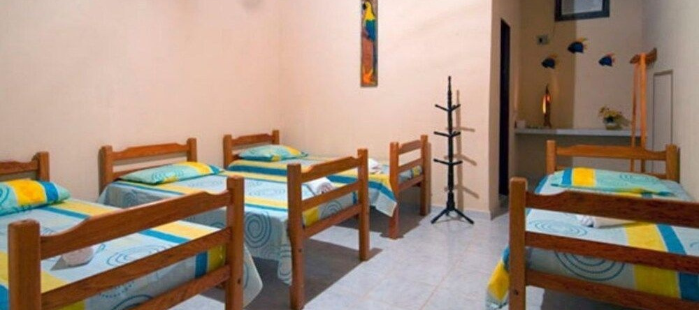 Pousada 3J Hotel Fazenda, Pocone — photo 1