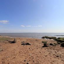 Solway Firth View, Annan — photo 5