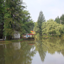 Guest house Lacul Linistit, 莫内亚萨 — 照片 4