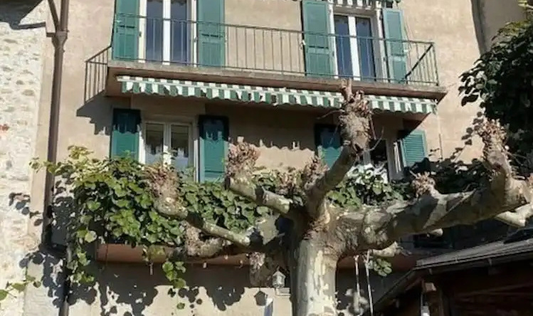 La Vigneronne, Uitzicht op het Meer, 阿尔勒斯海姆 — 照片 1