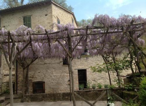 Mulino Della Ricavata, Урбания — фото 1