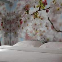 Business Hotel, Касале Монферрато — фото 4