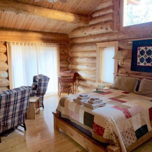 Cliffs & Stream Log - 3 Br Cabin, Натроп — фото 4