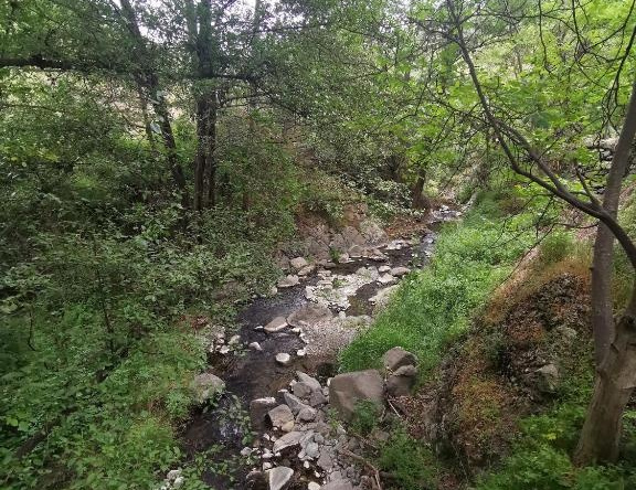 The Cave Apartment, Потамитисса — фото 1