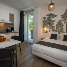 Appart Hotel Victoria Garden Mulhouse, Мюлуз — фото 3